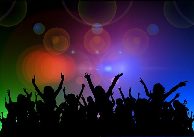 lidi a koncert