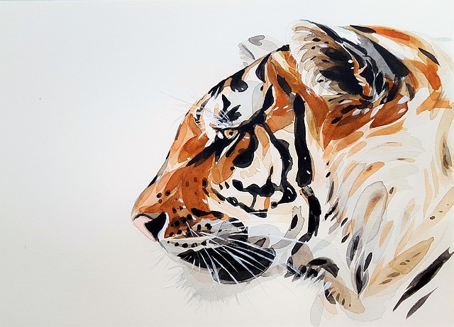 hlava tigra